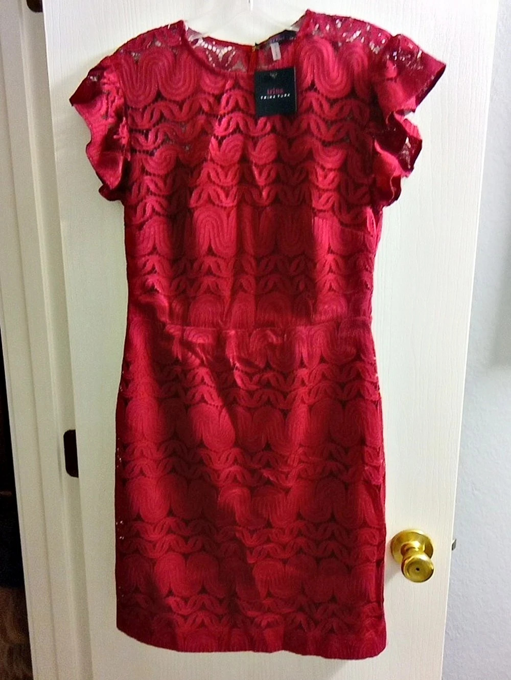 Trina Turk Coralline Dress Lace Mini in Pink NWT